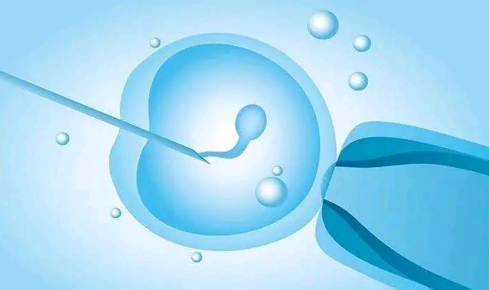 上海最大的助孕公司,上海冻卵的要求,上海输卵管性不孕医院