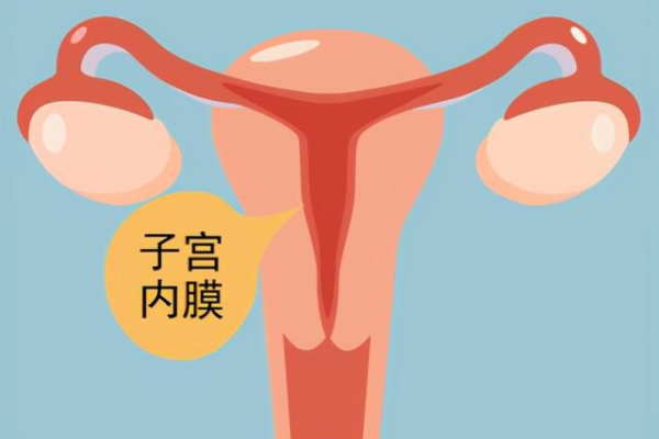 上海助孕哪里好一点,上海一医院推阳康体检套餐官方回应