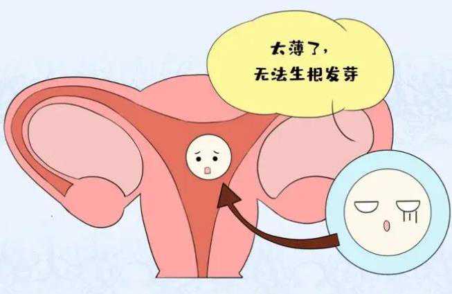 上海借卵中心,上海试管婴儿助孕《这里或许可以帮您!》