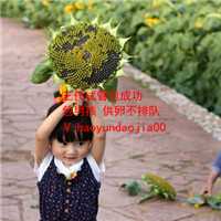 上海哪个医院供卵_上海找自然代生小小孩女人_最常见的就是乳房出现硬块