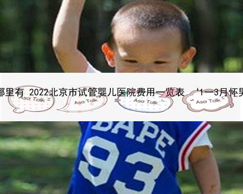 北京代孕在哪里有 2022北京市试管婴儿医院费用一览表 ‘1一3月怀男女孩症状’