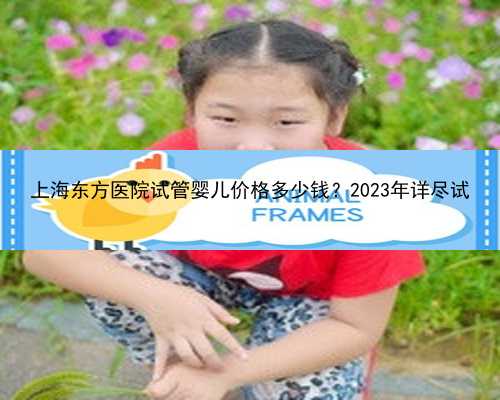上海东方医院试管婴儿价格多少钱？2023年详尽试