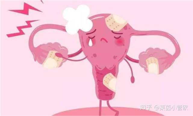 上海试管助孕套餐包含哪些服务？?,上海哪家医院可以进行试管婴儿手术并提供